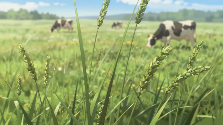 Visual representation of "brome" - Brome refers to a type of grass belonging to the genus Bromus, commonly used as forage for livestock.