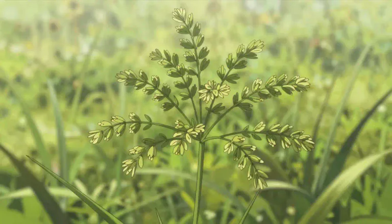 Visual representation of "panicle" - A type of flower cluster where the flowers branch off from a central stem, resembling a bushy arrangement.