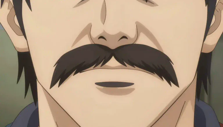 Visual representation of "moustache" - Hair that grows on the upper part of a man's lip