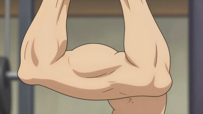 Visual representation of "biceps" - A muscle at the front of the upper arm that helps you bend your elbow.