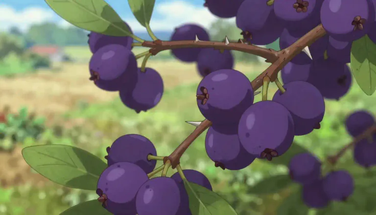 Visual representation of "sloe" - A small, dark purple fruit from the blackthorn bush.
