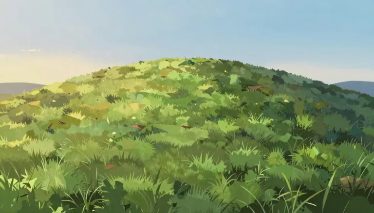 Visual representation of "hilltop" - The top or highest point of a hill