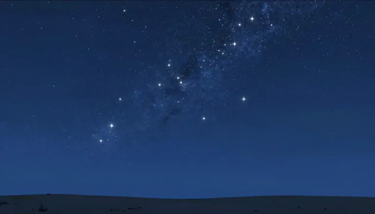 Visual representation of "myriad" - A very large number of something