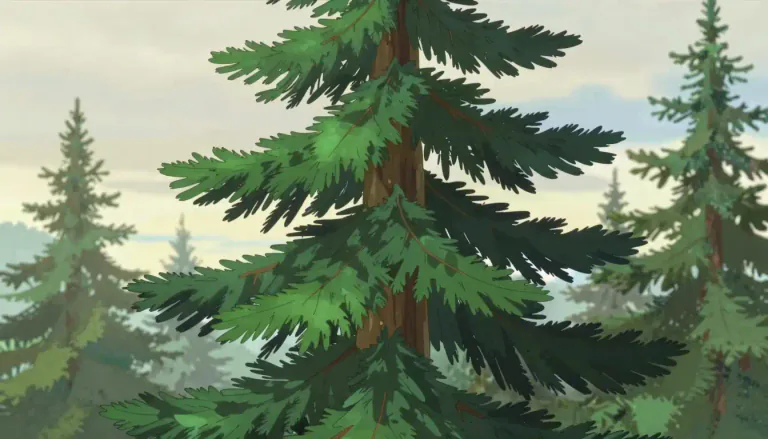 Visual representation of "spruce" - A type of tree with needle-shaped leaves