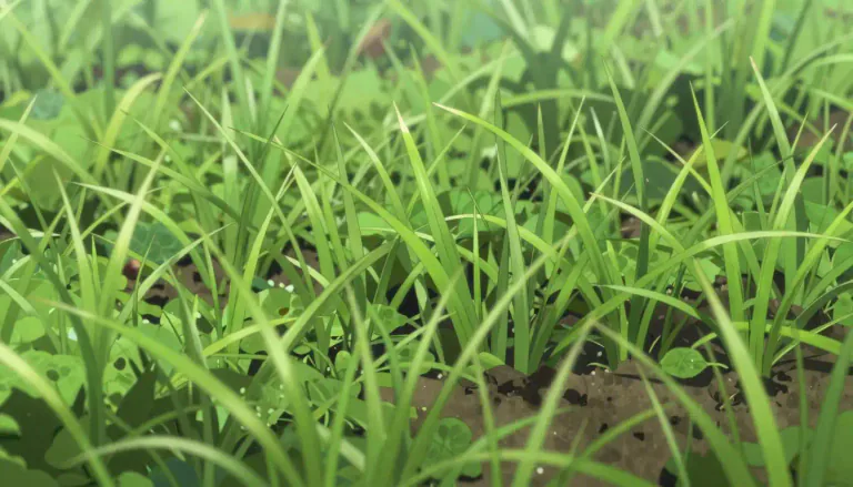 Visual representation of "grass" - A common plant with thin green leaves that grows out of the ground