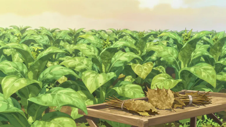 Visual representation of "tobacco" - A type of plant that is grown for its leaves which are used in cigarettes, cigars, and pipes.