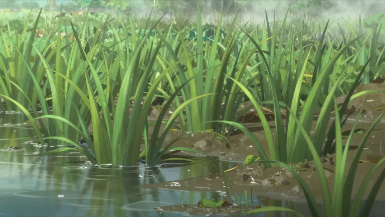 Visual representation of "sedge" - A type of plant that normally grows in wet ground or near water.