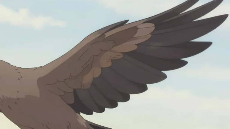 Visual representation of "pinion" - The outer part of a bird's wing including the flight feathers