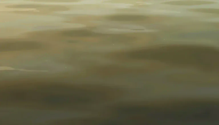 Visual representation of "turbidity" - The condition of being cloudy, muddy, or not clear, often caused by particles suspended in a liquid or gas.