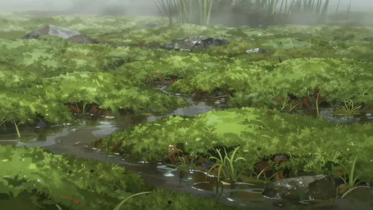 Visual representation of "sphagnum" - A type of moss that grows in wet places.
