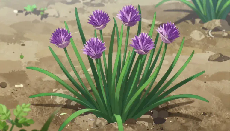 Visual representation of "chive" - A kind of plant with purple flowers and long, thin leaves that are used in cooking for their flavor.
