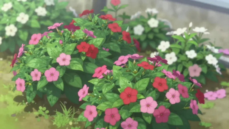 Visual representation of "japonica" - A type of plant from East Asia, often used in gardens.