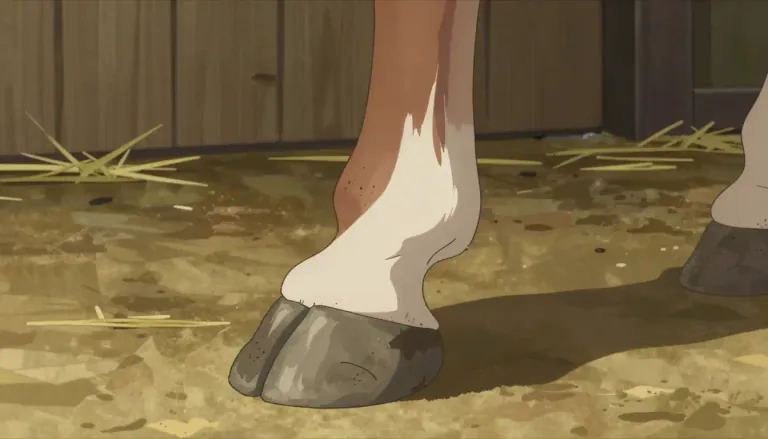 Visual representation of "hoof" - The hard foot of an animal such as a horse, cow, etc.