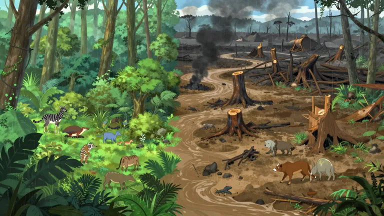 Visual representation of "ecocide" - Significant damage or destruction caused to the environment that impacts ecosystems and biodiversity.