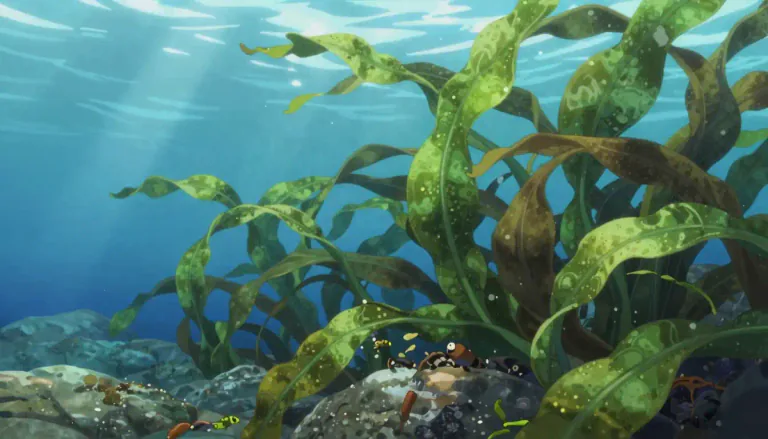 Visual representation of "seaweed" - A plant that grows in the sea.