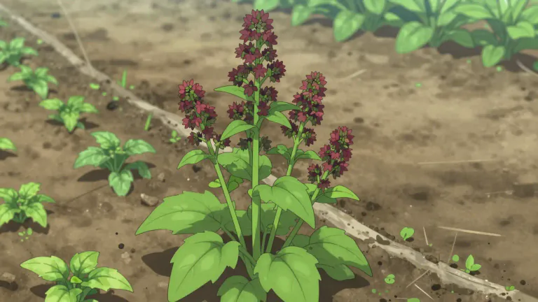 Visual representation of "pigweed" - A type of weed that belongs to the Amaranthaceae family, often found in agricultural areas and gardens.