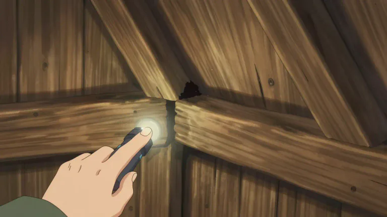Visual representation of "cranny" - A small, narrow space or hole that is hard to notice.