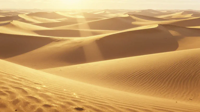 Visual representation of "aureate" - Something that has a golden color or is shiny like gold