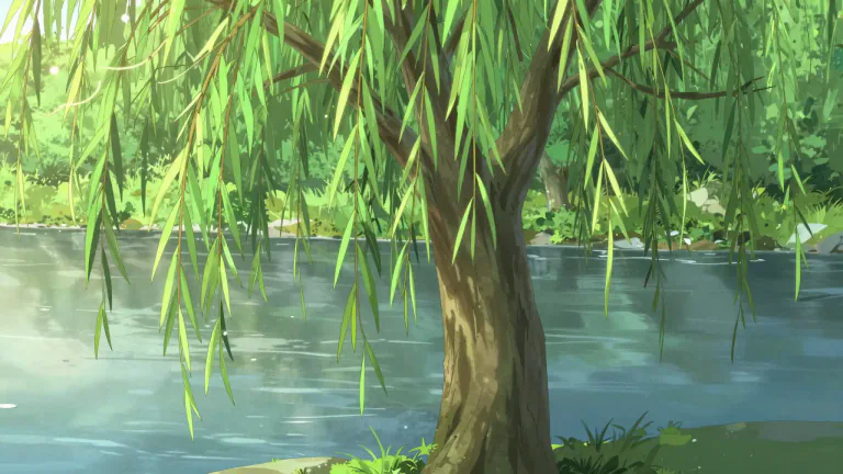 Visual representation of "osier" - A type of willow tree that has narrow leaves.