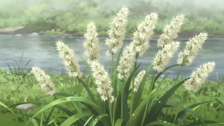 Visual representation of "meadowsweet" - A flowering plant that grows in moist places, known for its sweet-smelling blossoms.