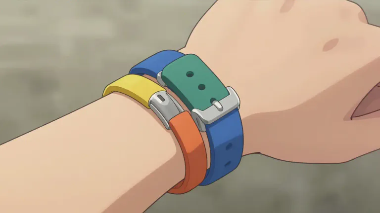 Visual representation of "watchband" - A band that holds a watch around the wrist.