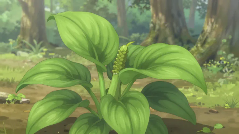 Visual representation of "arum" - A type of plant belonging to the genus Arum, commonly found in Europe and widely recognized by its characteristic shape.