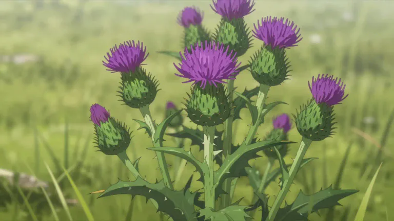 Visual representation of "thistle" - A plant with sharp prickles, usually purple flowers