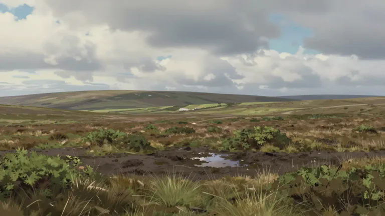 Visual representation of "moor" - A large open area of land that is not good for farming and often has wet ground