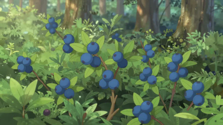 Visual representation of "bilberry" - A kind of wild shrub that produces small, edible blue berries.