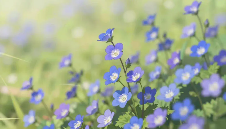 Visual representation of "veronica" - Veronica is a genus of flowering plants that are often characterized by their blue or purple flowers.