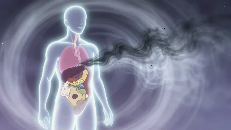 Visual representation of "purge" - To clean by removing impurities, especially from a body organ or system.