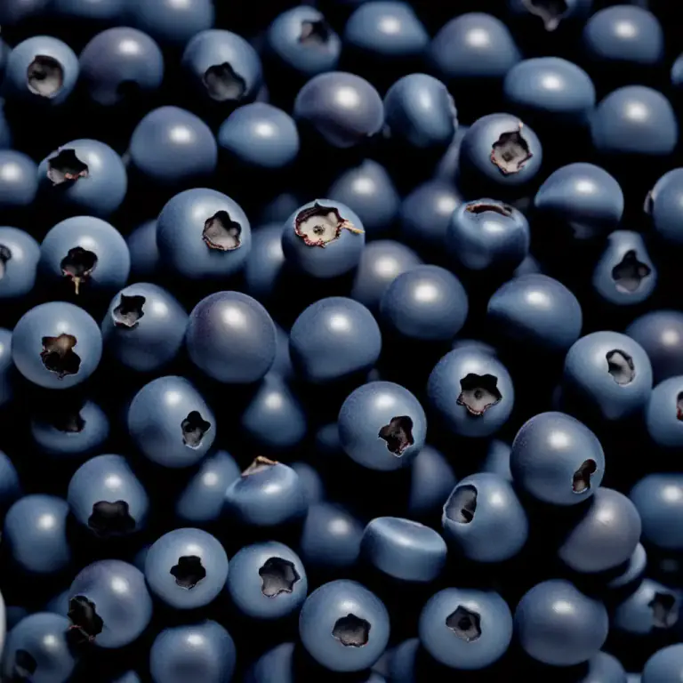 Visual representation of "bilberry" - The small, round, dark blue fruit of the bilberry plant.