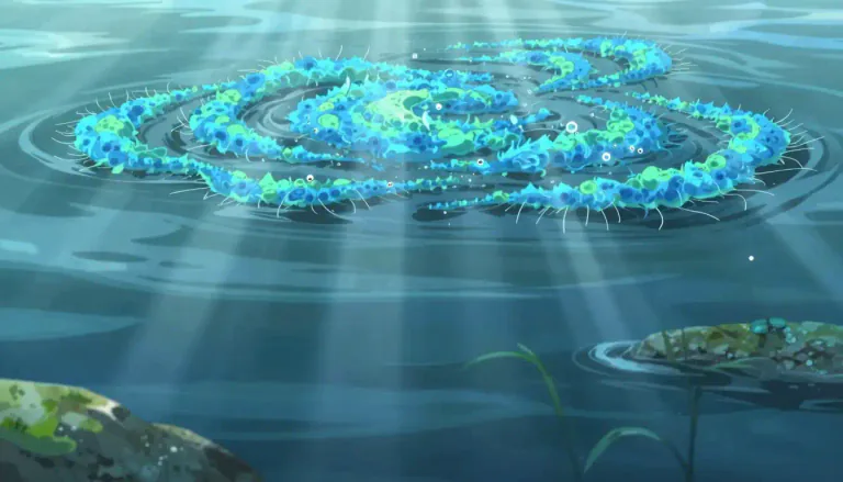 Visual representation of "cyanobacteria" - Cyanobacteria are a group of bacteria that can perform photosynthesis and are often found in water.