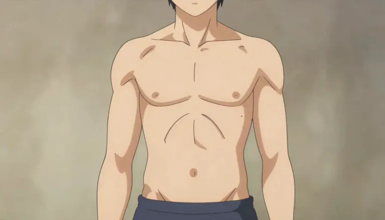 Visual representation of "torso" - The middle part of the human body, between the neck and the legs