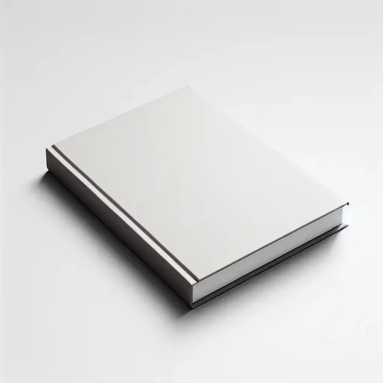 Visual representation of "back" - the side or part of an object opposite the front
