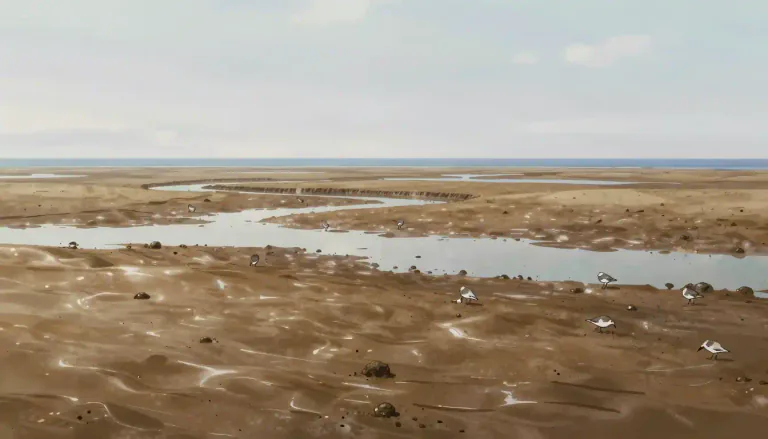 Visual representation of "mudflat" - A muddy area that is exposed at low tide, typically found in coastal regions.