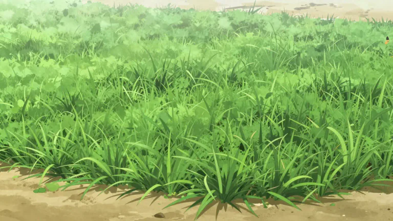 Visual representation of "zoysia" - A type of warm-season grass known for its ability to grow in hot and dry environments, often used for lawns and golf courses.