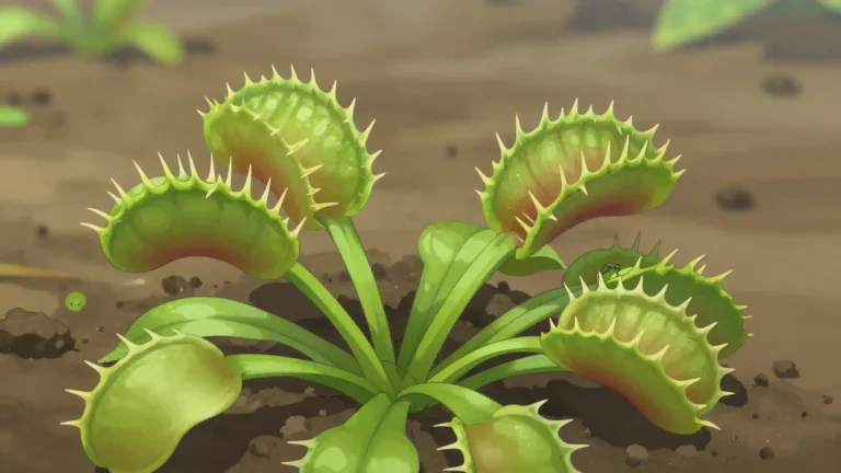 Visual representation of "flytrap" - A type of carnivorous plant that catches and devours insects by trapping them in specialized leaves.