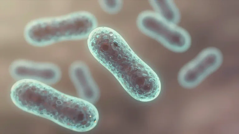 Visual representation of "bacillus" - A type of bacteria that is shaped like a rod.