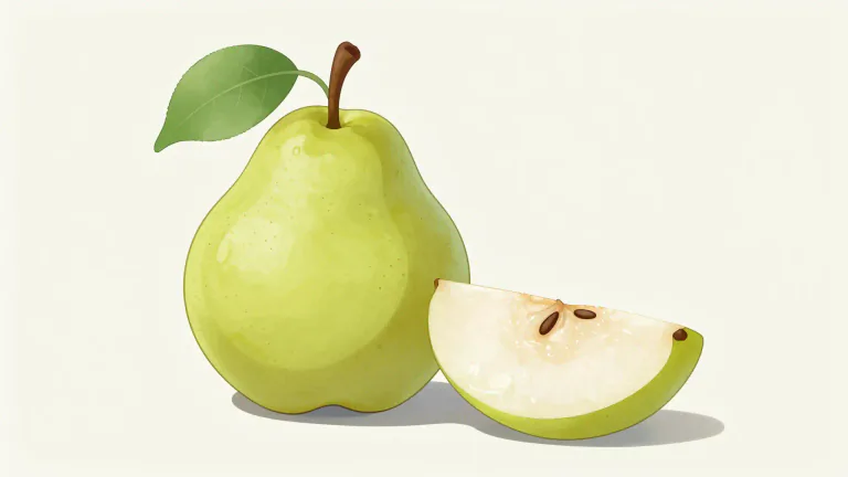 Visual representation of "pear" - A kind of juicy fruit with a rounded shape, thin skin, and more narrow top
