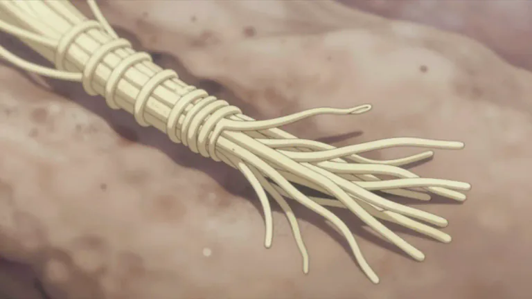 Visual representation of "fasciculus" - A small bundle of anatomical fibers, such as nerve fibers or muscle fibers.