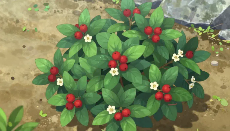 Visual representation of "cotoneaster" - A type of flowering plant in the Rosaceae family, often used in gardens and landscaping for its beauty and hardiness.