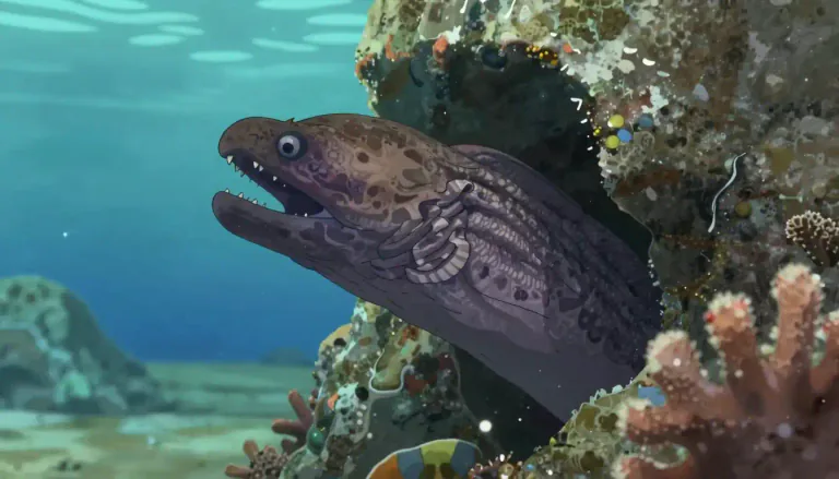 Visual representation of "moray" - A type of long, thin fish that lives in warm seas, known for sharp teeth and strong jaws.