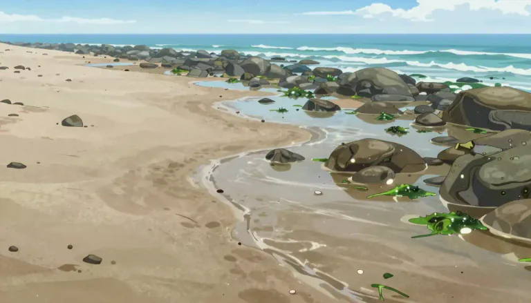 Visual representation of "foreshore" - The part of a shore between high-water mark and low-water mark.