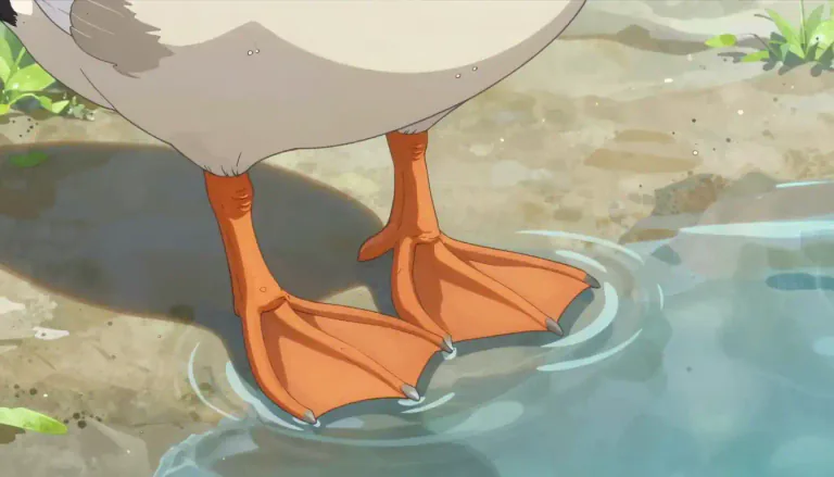 Visual representation of "webbed" - Having a skin or membrane that connects the digits of an animal, like in ducks or frogs.
