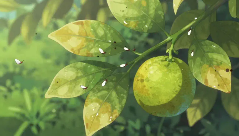 Visual representation of "whitefly" - A term used in botany to describe certain insects that are pests in gardens and agriculture.