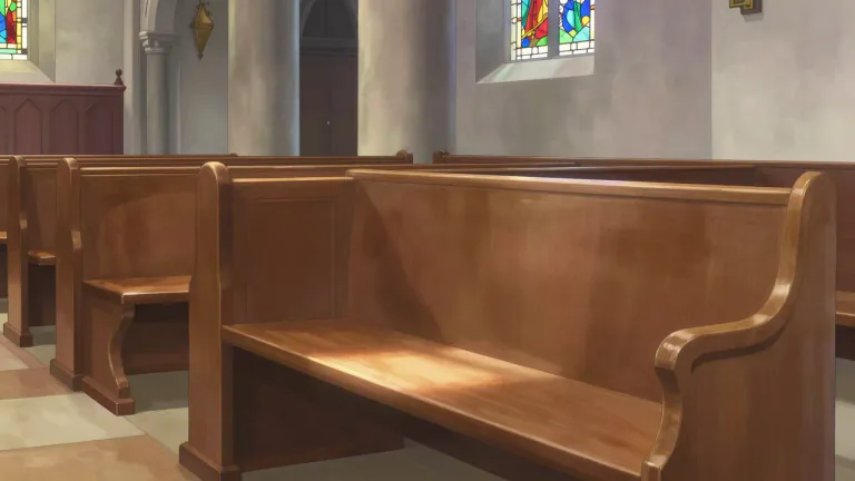 Visual representation of "pew" - A long bench with a back, for seating people in a church.