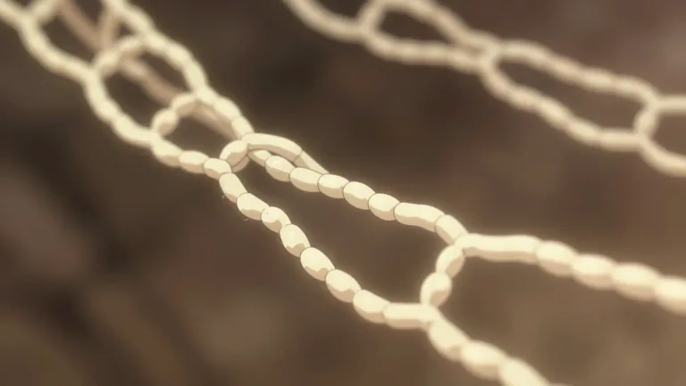 Visual representation of "filament" - A long chain of proteins, such as those found in hair or muscle fiber