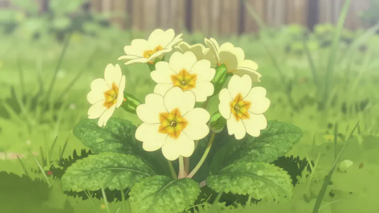 Visual representation of "primrose" - A type of small plant with pale yellow flowers.