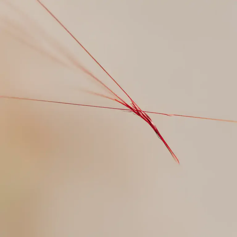 Visual representation of "thread" - To put thread through the hole of a needle or beads, etc.